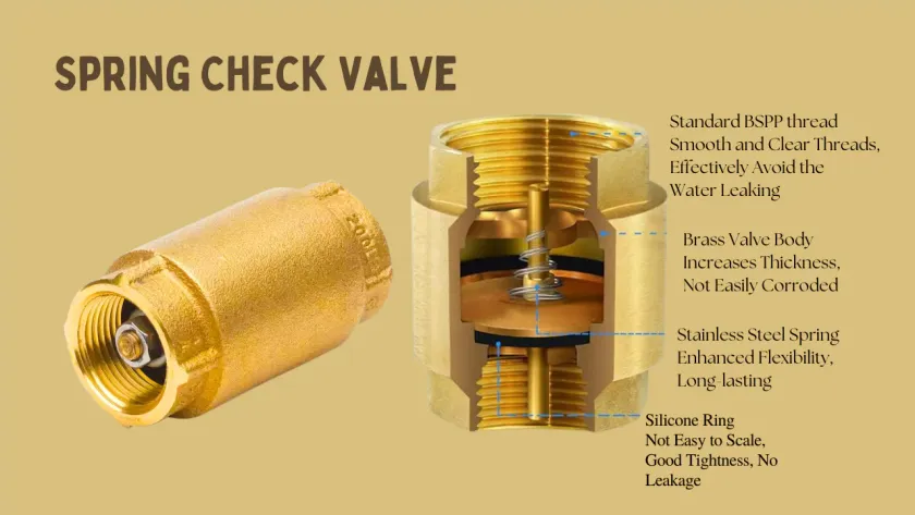 Check Valve